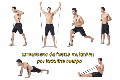 Banda elástica EliteForce